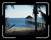 Plage aux tortues